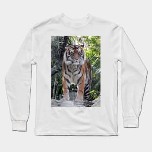 Sumatran Tiger Long Sleeve T-Shirt